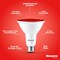 Bulbrite 90-W Equivalent, Red Color PAR38 Weatherproof Outdoor E26 Medium Base Flood LED Light Bulb COLOR 861906 - alternate 8