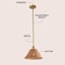 Jonathan Y Hattie 12 in. 1-Light Coastal Bohemian Metal and Woven Rattan LED Pendant Light, Gold Painting/Brown JYL5712A - alternate 9