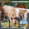 Edendirect 4 ft. x 165 ft. 10-Gauge Galvanized Livestock Fence, Cattle Fence Panels, Pig Fence Panels ED-X0043YSH7X - alternate 7