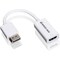 Iogear DISPLAYPORT TO HD ADAPTER CABLE GDPHDW6 - alternate 1