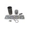 Cnh KIT PISTON & RINGS, CNH OEM 3044479R94GV 3044479R94GV - alternate 1