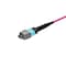 Monoprice MM OM4 OFC  MTP-16 Elite UPC (F) to MTP-16 Elite UPC (F) 16-Fiber OFNP Type B Magent 10m 48212 - alternate 2