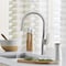 Blanco Rivana Pull Down 1.5 gpm, Stainless 442678 - alternate 8