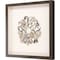 Homeroots Oyster Shell II Brown Framed Print Wall Art 526964 - alternate 5