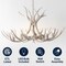 Jonathan Y Eldora 33" 6-Light Rustic Farmhouse Adjustable Resin Antler LED Chandelier, Beige JYL6318B - alternate 10