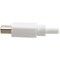 Tripp Lite 6IN MINI DISPLAYPORT TO DISPLAYPORT ADAPTER CONVERTER 4Kat 60HZ 6 P139-06N-DP-V2B - alternate 8