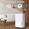 Edendirect Dehumidifier, 9.08 pints, White, 9.45 in, 115 V ED-UDZ1-120P - alternate 6