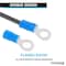 Kable Kontrol Copper and PVC Butted Seam Ring Terminal, 16-14 AWG, Stud Size # 10, Blue, 100 Pcs, 100PK RTPVC-1614-10-BL - alternate 6