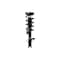 Fcs Struts Suspension Strut And Coil Spring Assembly 2334485R - alternate 1