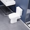 Anzzi Two-Piece Elongated Toilet in White with Soft-Close Lid, 1.6 GPF Flush, (Toilet Only) TL-AZ600 - alternate 9