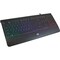 Adesso USB MULTI-COLORED ILLUMINATED KEYBOARD, SLIM LOW PROFILE FULL SIZE DESIGN AKB-137CB - alternate 23