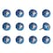 Homeroots Set of Twelve Blue And White Botanical Ceramic Drawer Pull Knobs, 12PK 358132 - alternate 7