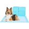 Scratchme Super-Absorbent Waterproof Dog and Puppy Pet Training Pad, Housebreaking Pet Pad, Blue 23.6inx23.6i PTPUPYPAD100M - alternate 1