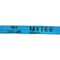 Mytee Products 2in x 30ft Heavy Duty Blue Winch Straps Tie Down w/Flat Hook WLL# 3,333 lbs WS230B - alternate 9