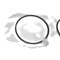 Cnh RING PISTON, CNH OEM A40364 A40364 - alternate 7