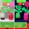 Folkart Acrylic Paint, Matte, Acrylic Base, Neon Pink, Neon Orange, Neon Green, Neon Blue 7506 - alternate 10