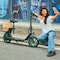 Gopowerbike GoFlow Electric Scooter with Seat BR001 - alternate 10