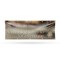 Signmission Safety Success Winning Form, 48 Inch x 120 Inch, Vinyl Banner B-120-30846 - alternate 1