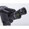 Motic Instruments Usa SM7-TLED APO1X Binocular Stereo Microscope, Plan Apo Obj 1X, LED Reflected/ Transmitted Stand 1100201800091 - alternate 4