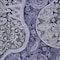 Homeroots 10' X 14' Navy Blue Gray And Green Floral Medallion Washable Indoor Outdoor Area Rug 603184 - alternate 8