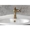 Kingston Brass One-Handle Single-Hole Bathroom Faucet with Push Pop-Up Drain, Antique Brass KS3543RNX - alternate 6