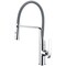 Anzzi Accent Polished Chrome Pull-Down Sprayer Kitchen Faucet KF-AZ003 - alternate 1