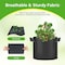 Healsmart 3 Gallon Nonwoven Grow Bags, Aeration Fabric Pots with Handles, Black, 6PK GLGROWBAG3X6LITEBLK - alternate 7