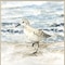 Homeroots Set Of Two Beach Sandpipers Distressed White Framed Wall Art, 2PK 653065 - alternate 6