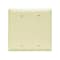 Pass & Seymour Blank Wallplate, 0.07 in Thick, 2 -Gang, Nylon, Ivory, Box Mounting TP23ICC12 - alternate 2