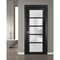 Sartodoors French Interior Door, 30" x 96", Black QUADRO4002ID-BLK-3096 - alternate 1