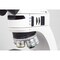 Motic Instruments Usa Panthera TEC-BD/DF/RL Trinocular Compound Upright Microscope with 6x4 Stage 1100104600221 - alternate 3