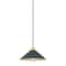 Hudson Valley Lighting Clivedon 12 in. Pendant in Aged Brass/Soft Studio Green by Mark D. Sikes MDS1401-AGB/SSG - alternate 1