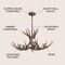 Jonathan Y Eldora 30" 5-Light Rustic Farmhouse Adjustable Resin Antler LED Chandelier, Brown JYL6300A - alternate 12