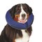 Boss Pet Total Pet Health XL Blue Inflatable Pet Collar TP3630 24 19 - alternate 1