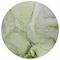 Homeroots 8' Round Green Round Abstract Washable Non Skid Indoor Outdoor Area Rug 559690 - alternate 7