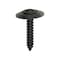 Auveco #6 x 3/4in Phillips Oval Head Ab Tapping Sems - Black Phosphate, 100PK 11785 - alternate 1