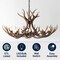 Jonathan Y Eldora 36" 8-Light Rustic Farmhouse Adjustable Resin Antler LED Chandelier, Brown JYL6319A - alternate 11