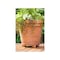 Pot Toes Planter Feet The Decksaver 1in H X 2in W X 3in D Plastic Terracotta Terracotta PT-12TCHT - alternate 16