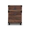 Homeroots 22" Walnut Wood Two Drawers Rolling Filing Cabinet 568324 - alternate 7