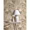 Advantage Chestnut Beige Floral Wallpaper 4164-M1820 - alternate 4