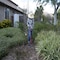Corona Tools ExtendaHANDLE Weeder GT 3040 - alternate 4