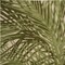 Homeroots 5' X 8' Ivory And Green Palm Leaf Indoor Outdoor Area Rug 548057 - alternate 9
