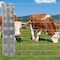 Wrightmaster 49.6 in. x 328 ft. 14-Gauge Reinforced Hot-Dip Galvanized Poultry Fencing ZOR-P461621 - alternate 7