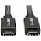 Tripp Lite Usb C Cable Usb 3.1 Gen 2, 5A U420-20N-G2-5A - alternate 7