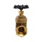 Everflow FIP Heavy Duty Gate Valve with Wheel Handle, Cast Brass 3" 207T003 - alternate 5