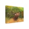 Trademark Fine Art Outdoor Canvas Art - David Stribbling 'Red Deer in Field' Wall Art for Patios, or Gardens GRL00448-OC1419WR - alternate 1