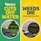 Spruce Snap & Spray Broadleaf Weed and Vegetation Killers RTU Liquid 64 fl. oz. 810121300428 - alternate 7