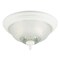Westinghouse 2 LGT WHT Ceil Fixture 66162 - alternate 1