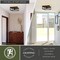 Vaxcel Pratt 2-Light Cage Flush Mount Ceiling Light, Matte Black, Industrial Farmhouse, 13-In. C0362 - alternate 9
