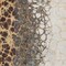 Homeroots 8' X 10' Ivory Gray And Gold Abstract Washable Indoor Outdoor Area Rug 582527 - alternate 8